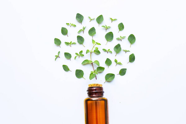 Essential oil with fresh oregano leaves on white.