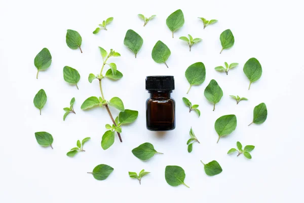 Aceite esencial con hojas frescas de orégano sobre blanco . — Foto de Stock