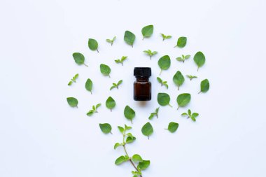 Beyaz arka plan üzerinde taze kekik yaprakları ile Uçucu yağ.