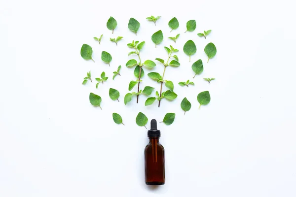 Aceite esencial con hojas frescas de orégano sobre fondo blanco . — Foto de Stock