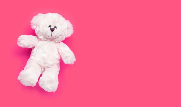 Brinquedo urso branco no fundo rosa . — Fotografia de Stock