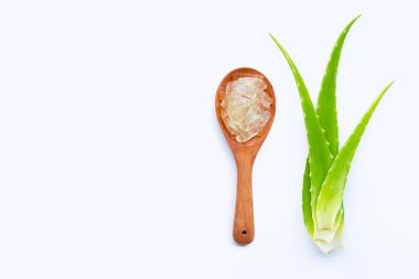 Aloe Vera sağlık ve güzellik için popüler bir şifalı bitki,