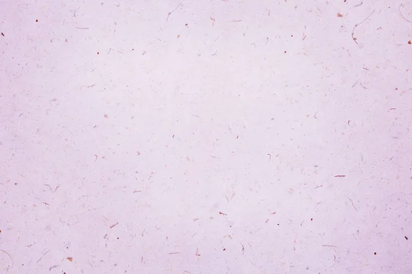 Carta rosa texture sfondo. — Foto Stock