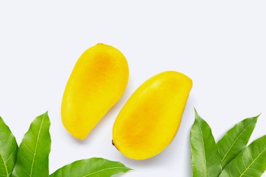 Tropik meyve, beyaz arka planda mango.. 