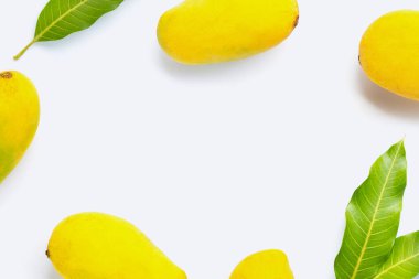 Tropik meyve, beyaz arka planda mango.. 