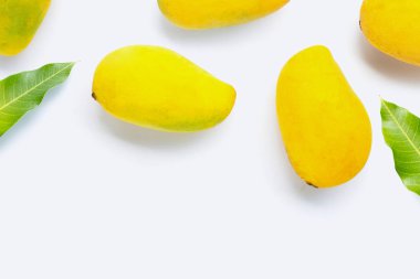 Tropik meyve, beyaz arka planda mango.. 