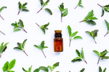 Beyaz arka planda kutsal fesleğen yaprakları olan gerekli yağ şişesi..