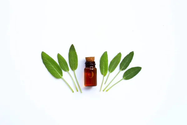 Essential Oil Fresh Sage Leaves White Background Top View — Stock Photo, Image