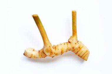 Beyaz arkaplanda izole edilmiş taze galangal.