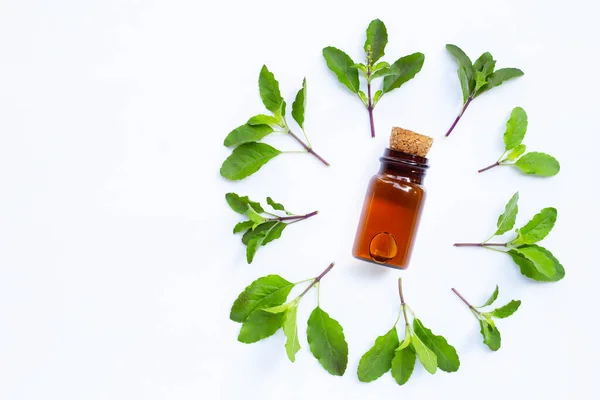 Bottle Essential Oil Holy Basil Leaves White Background — Stock Photo, Image