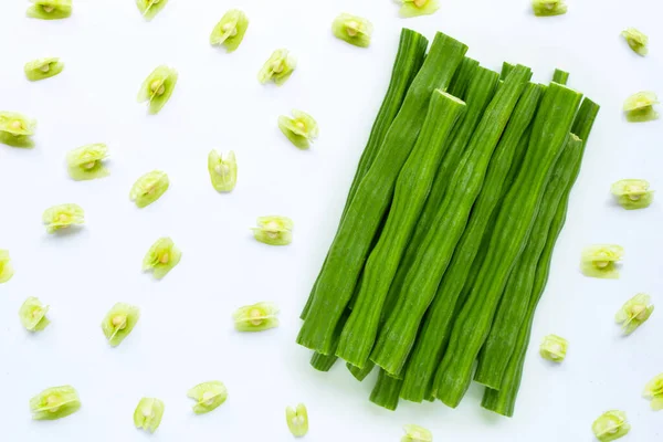 Moringa Oleifera Con Semi Freschi Isolati Fondo Bianco — Foto Stock