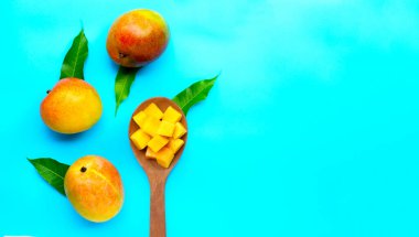 Tropik meyve, mavi arka planda mango. Üst görünüm