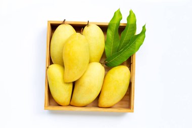 Tropik meyve, beyaz arka planda tahta kutuda mango. Üst görünüm