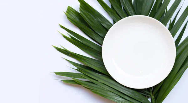 Beyaz Arka Planda Tropikal Palmiye Yaprakları Üzerinde Boş Beyaz Seramik — Stok fotoğraf
