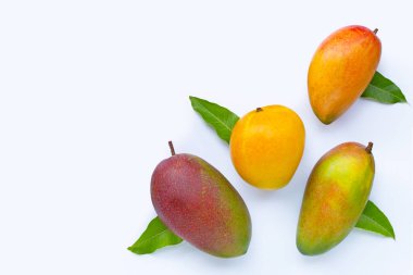 Tropik meyve, beyaz arka planda mango. Üst görünüm