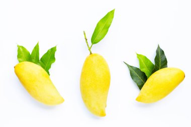 Tropik meyve, beyaz arka planda yaprakları olan mangolar. Üst görünüm