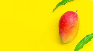 Tropik meyve, sarı arka planda yaprakları olan mango. Üst görünüm
