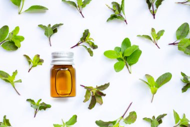 Beyaz arka planda kutsal fesleğen yaprakları olan gerekli yağ şişesi. Üst görünüm