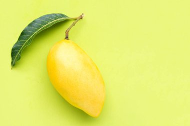 Yeşil arka planda sarı mango manzarası. Tropikal meyve sulu ve tatlı.