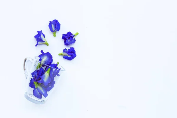 Blå Fjäril Ärta Blomma Glas Kopp Vit Bakgrund Ovanifrån Med — Stockfoto