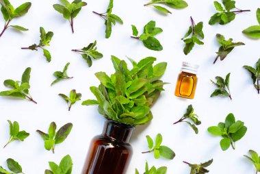 Beyaz arka planda gerekli yağ şişesiyle taze kutsal fesleğen yaprakları.