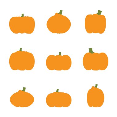 Basit kabak - vektör çizim seti