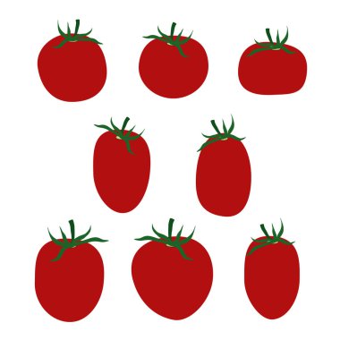 Çeşitli domates - vektör çizim seti