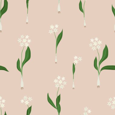 Çiçeklenme yabani sarımsak - vektör arka plan