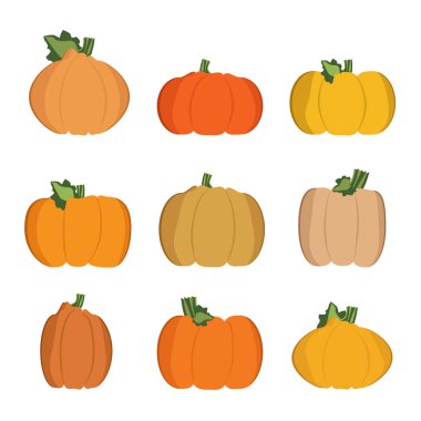 Çeşitli kabak - vektör çizim seti