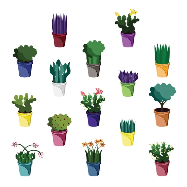 Ensemble Diverses Plantes Intérieur Illustration Vectorielle — Image vectorielle