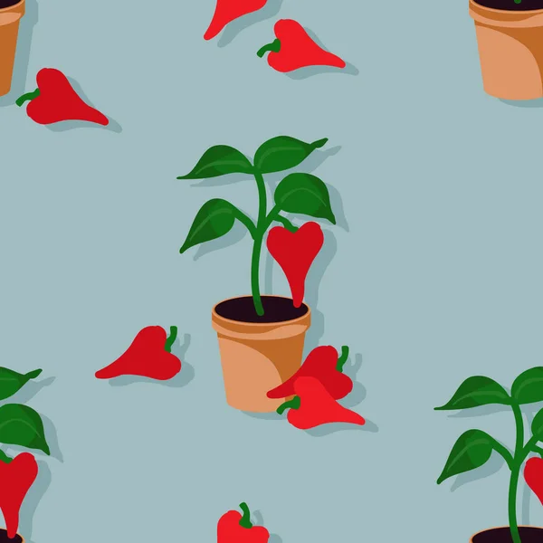 Poivron Rouge Poussant Dans Pot Fleurs Illustration Vectorielle — Image vectorielle