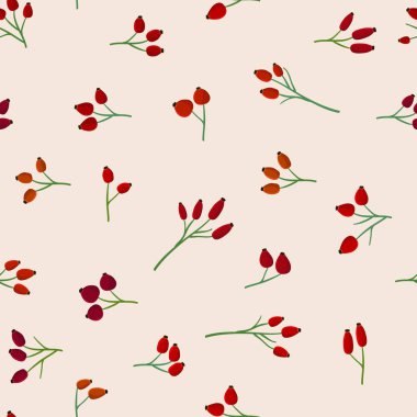 Rose hips açık renkli - vektör arka plan üzerinde