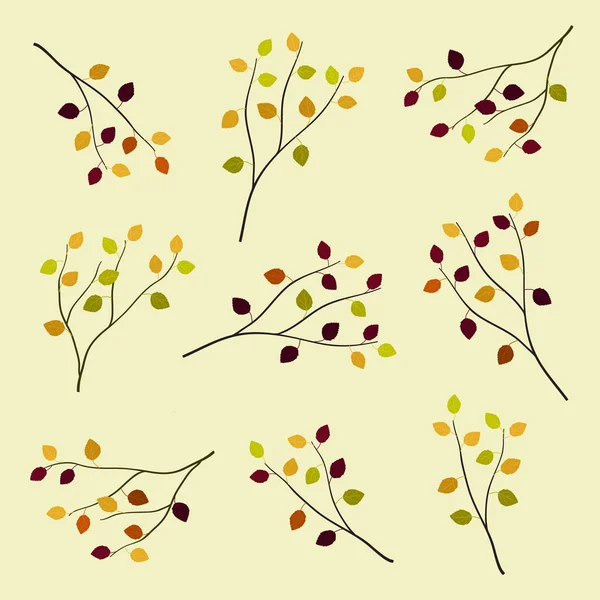 Ensemble Branches Bouleau Automne Illustration Vectorielle — Image vectorielle