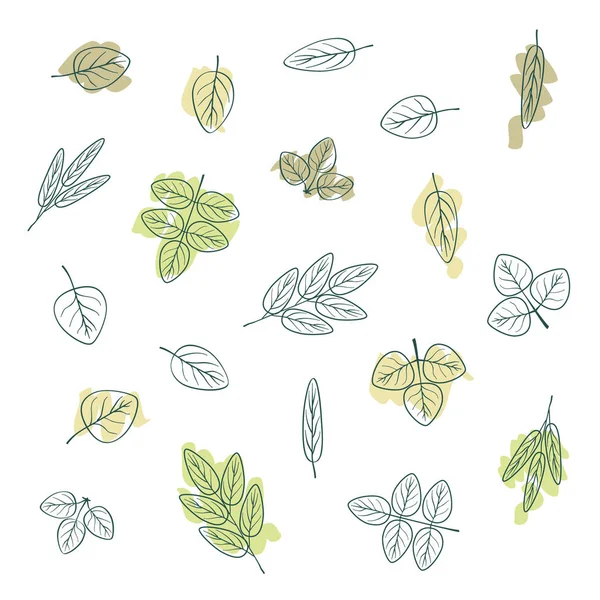 Set Various Outline Leaves Vector Illustration — Stock Vector