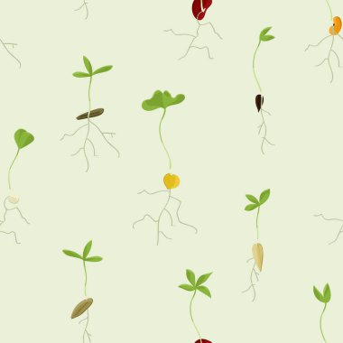 Çeşitli büyüyen tohum - vektör arka plan