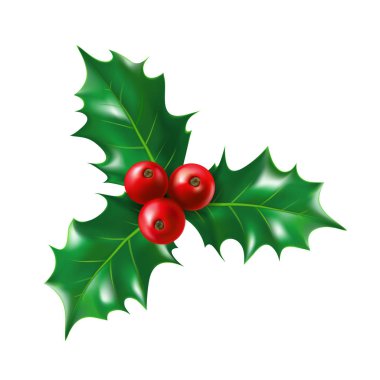 Yaprakları ile izole holly berry. Çobanpüskülü çilek