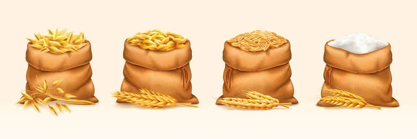 Мешки с пшеницей и ржаным хлебом, ячмень и овес, мука — стоковый вектор