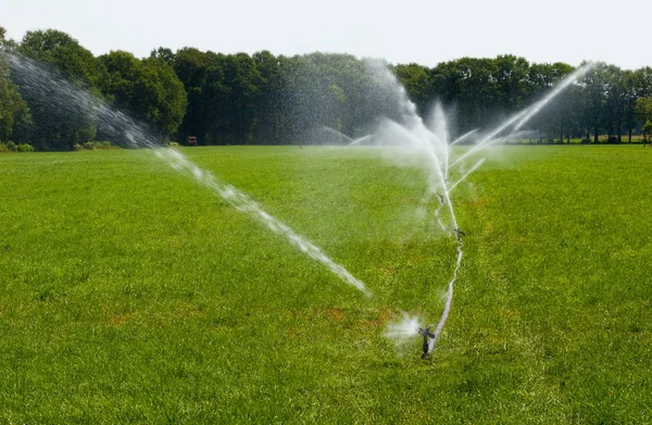 Irrigare Praterie Periodo Siccità Estate Nei Paesi Bassi — Foto Stock