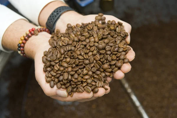Two handfull of coffee beans