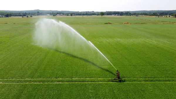 Arroseur Irrigue Une Prairie Par Une Chaude Journée Sèche Été — Photo