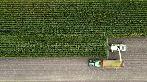 Śmigłowiec Zbiera Pole Kukurydzy Pod Koniec Lata Niderlandach — Zdjęcie stockowe