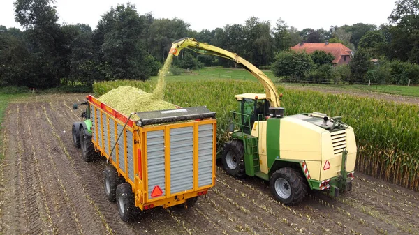 オランダの夏の終わりにチョッパーがトウモロコシ畑を収穫しています — ストック写真
