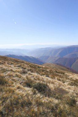 dağlar, peyzaj, orman, günbatımı