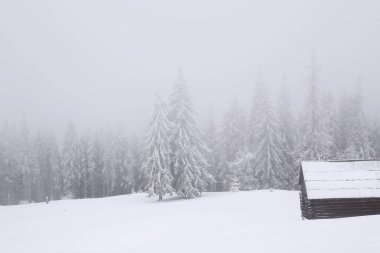 Kar, sis, karlı dağ evi