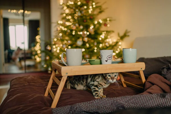 Neujahrsmorgen Mit Der Familie — Stockfoto