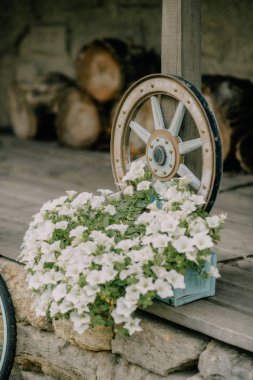 bir bahçe ve kuşlar ile bir yaz köyü avlu