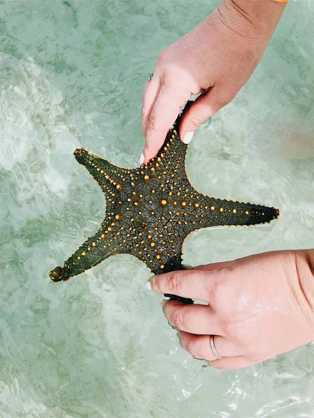 Starfish Hands Rays Sun Background Clouds — Stock Photo, Image