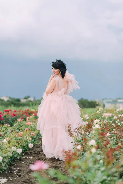 Meisje Een Roze Jurk Een Veld Van Rozen — Stockfoto