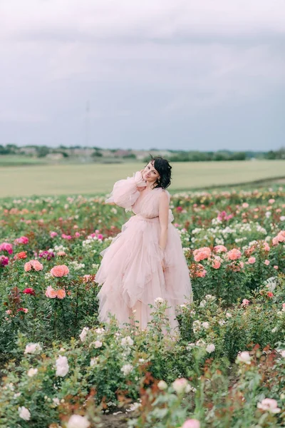 Девушка Розовом Платье Поле Роз — стоковое фото