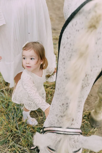 野原の白い服の家族 — ストック写真